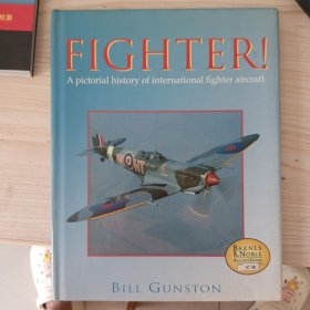 外文画册：FIGHTER！
