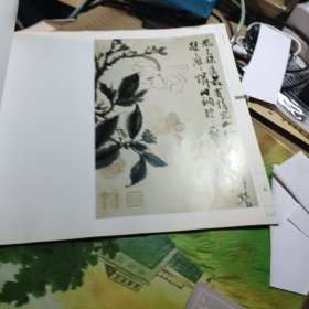 荣宝斋画谱 古代部分十六 清·石涛绘 （二）花卉荣宝斋画谱