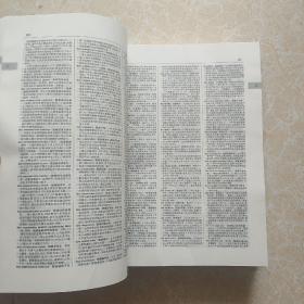 英汉科技大词典  书内前300页左右有受潮水印  不影响阅读和使用 看图下单