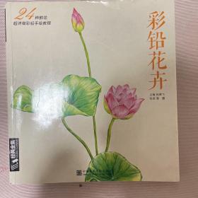 彩铅花卉：24种鲜花超详细彩铅手绘教程