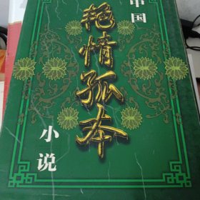 中国艳情孤本小说第三册