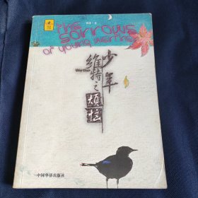 少年维特之烦恼