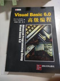 Visual Basic6.0高级编程