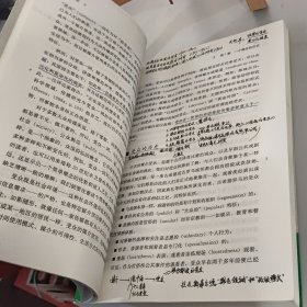 受众分析