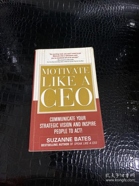 Motivate Like a CEO: Communicate Your Strategic Vision and Inspire People to Act!
