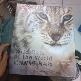 世界野生猫科动物