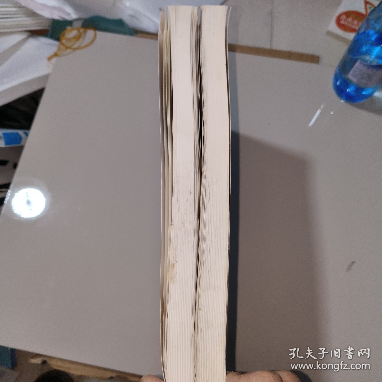 苏德正篆刻书法集（上、下）