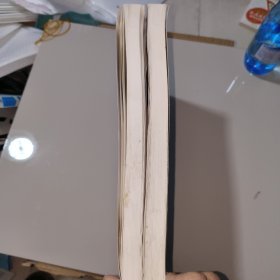 苏德正篆刻书法集（上、下）