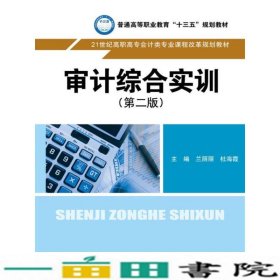 审计综合实训第二2版中国人民大学出9787300248349