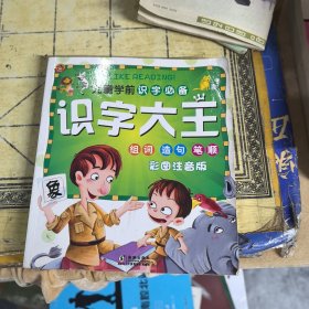 识字大王/儿童学前识字