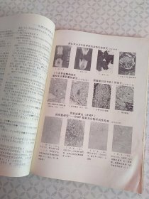 实用口腔医学杂志 1987年第三卷1-4期（合订本）