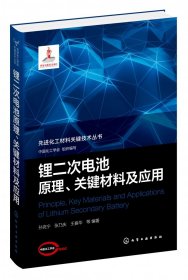 先进化工材料关键技术丛书--锂二次电池原理、关键材料及应用
