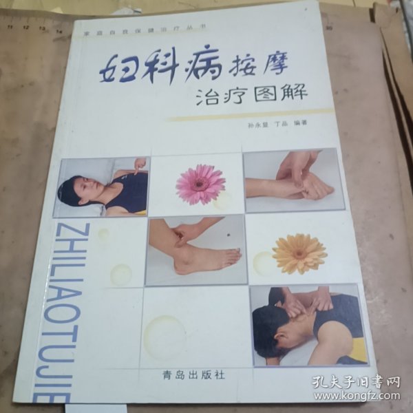 家庭按摩保健全书