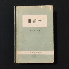 组织学