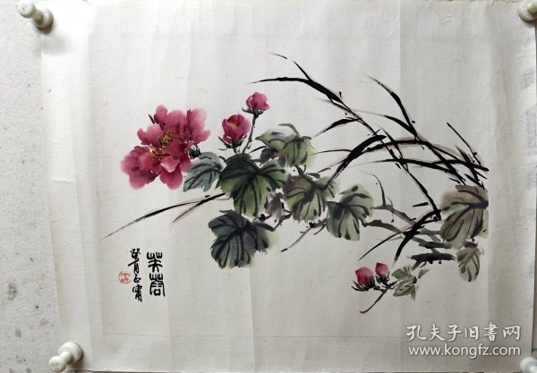 雷正啸 芙蓉