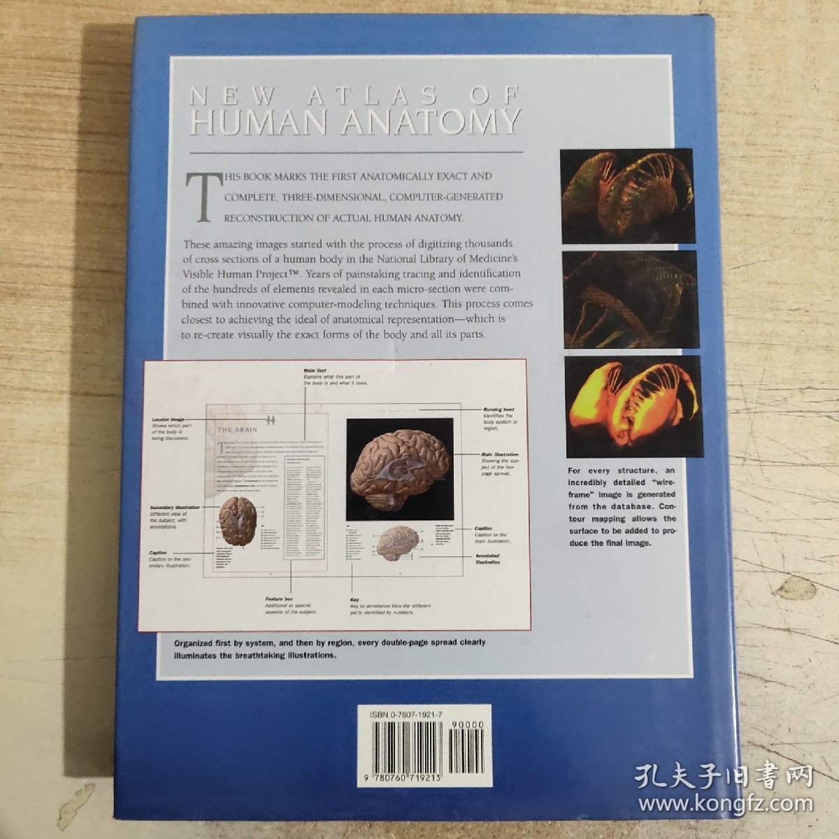 New Atlas of Human Anatomy  新编人体解剖学图谱