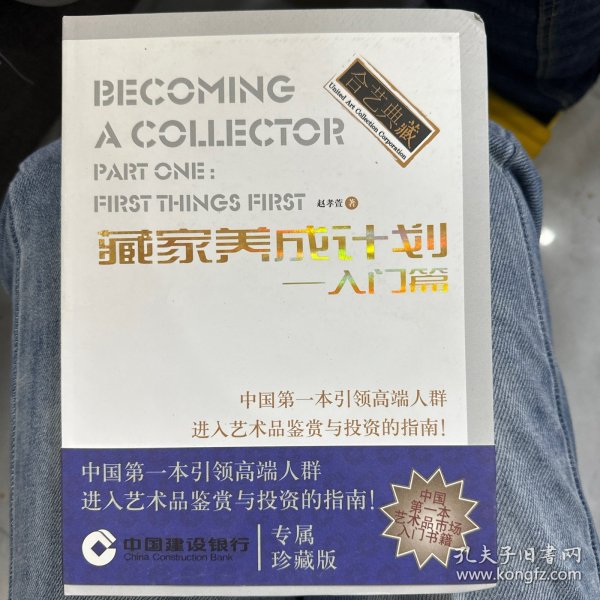 藏家养成计划：入门篇