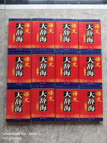 语文大辞海（全十二卷）