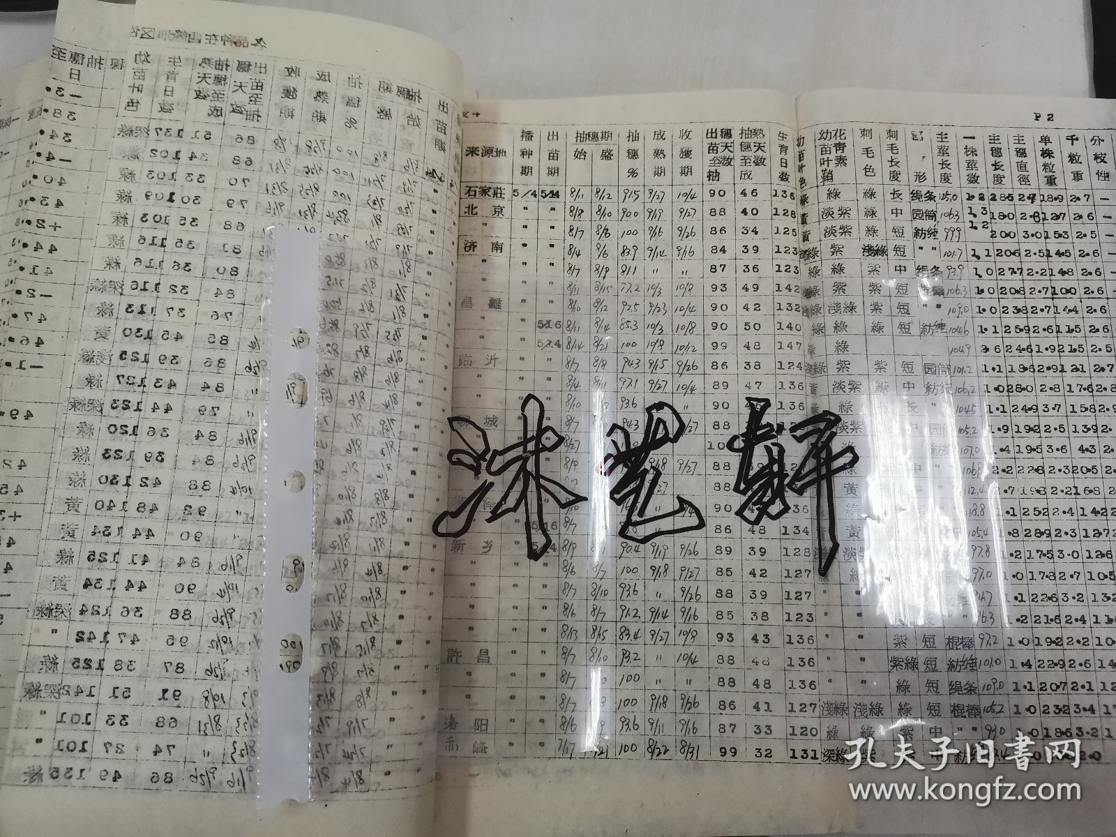 补图…老种子、传统农业原始资料收藏（五）谷子（2）：《我国主要粟产区品种生态型及品种适应性联合实验》（甘肃庆阳专区农业科学研究所）谷子生育期间气象、降水量、气温、日照等，《1963—1964年各地区粟代表性品种在西峰地区生育性状表现》，《皋兰、景太、靖远、会宁四县糜、谷地方品种生态型调查报告》，《甘肃省皋、景、靖、会糜谷分布图》《我国主要粟产区…观察圃…》（甘肃农科院定西农科所会宁农试站）等！