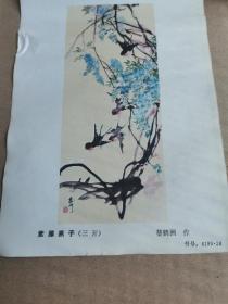 紫藤燕子（三开）