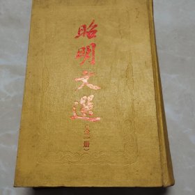 昭明文选(全一册)