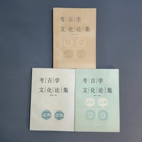 三册合售 考古学文化论集 二 三 四 2 3 4