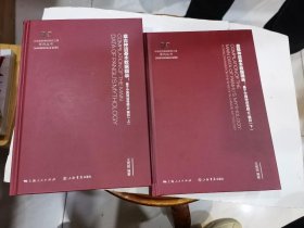 盘瓠神话基本数据辑录(全二册)  基于中国神话母题W编目. (差书衣.其于全新).