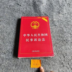 【正版二手】中华人民共和国民事诉讼法（实用版）