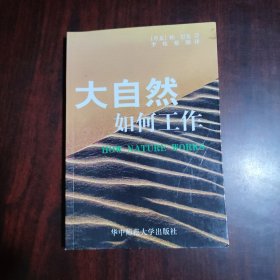 大自然如何工作——有关自组织临界性的科学