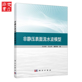 非静压表面流水波模型