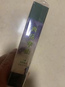 西岳华山  八集电视音乐风光艺术片  VCD碟片