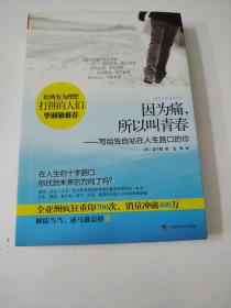 因为痛，所以叫青春：写给独自站在人生路口的你