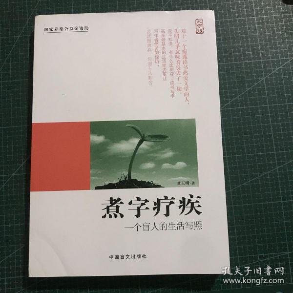 煮字疗疾—一个盲人的生活写照（大字版）