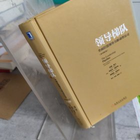 领导梯队：全面打造领导力驱动型公司