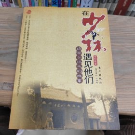 在少林遇见他们：49位少林人的故事