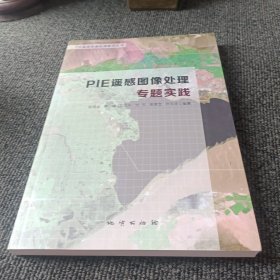 PIE遥感图像处理专题实践