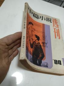 中篇小说选刊1984 1