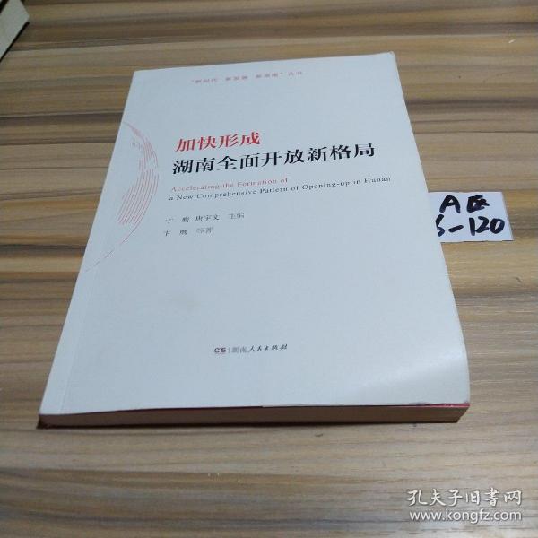 加快形成湖南全面开放新格局/“新时代新发展新湖南”丛书