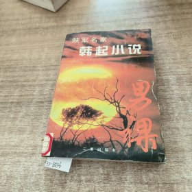 陕军名家韩起小说