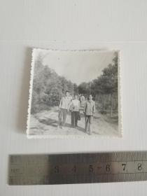 老照片-----《祖孙三人在小路上留影》！