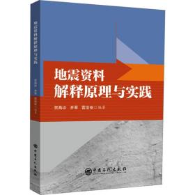 地震资料解释与实践 冶金、地质 作者 新华正版