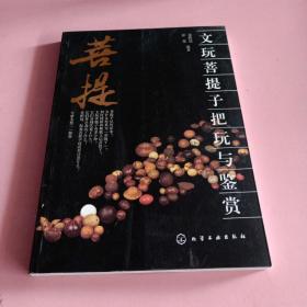 文玩菩提子把玩与鉴赏