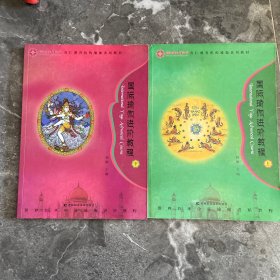 国际瑜伽进阶教程（上下）