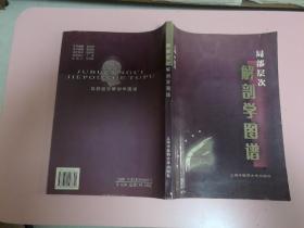 局部层次解剖学图谱
