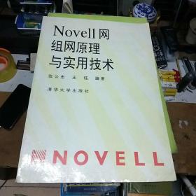 Nowell网组网原理与实用技术