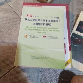 附录：《2011-2020年中国钢铁工业科学与技术发展指南》关键技术说明