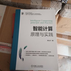 智能计算：原理与实践