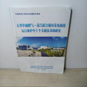 大型单轴燃气-蒸汽联合循环发电机组运行维护中十个关键技术的研究