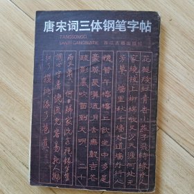 唐宋词三体钢笔字帖