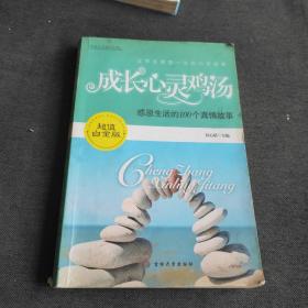 成长心灵鸡汤  感恩生活的100个真情故事